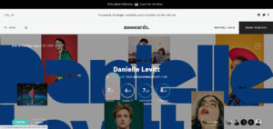 awwwards-ui-design